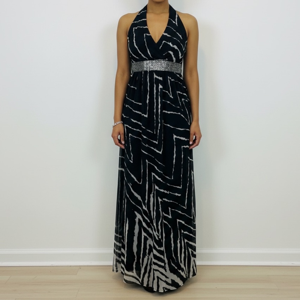 Express Maxi Dress